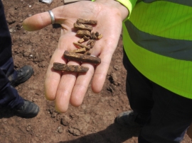 Worked animal bone found in a Roman grave