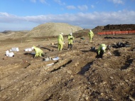 Cotswold Archaeology excavating the Dark Age cemetery.